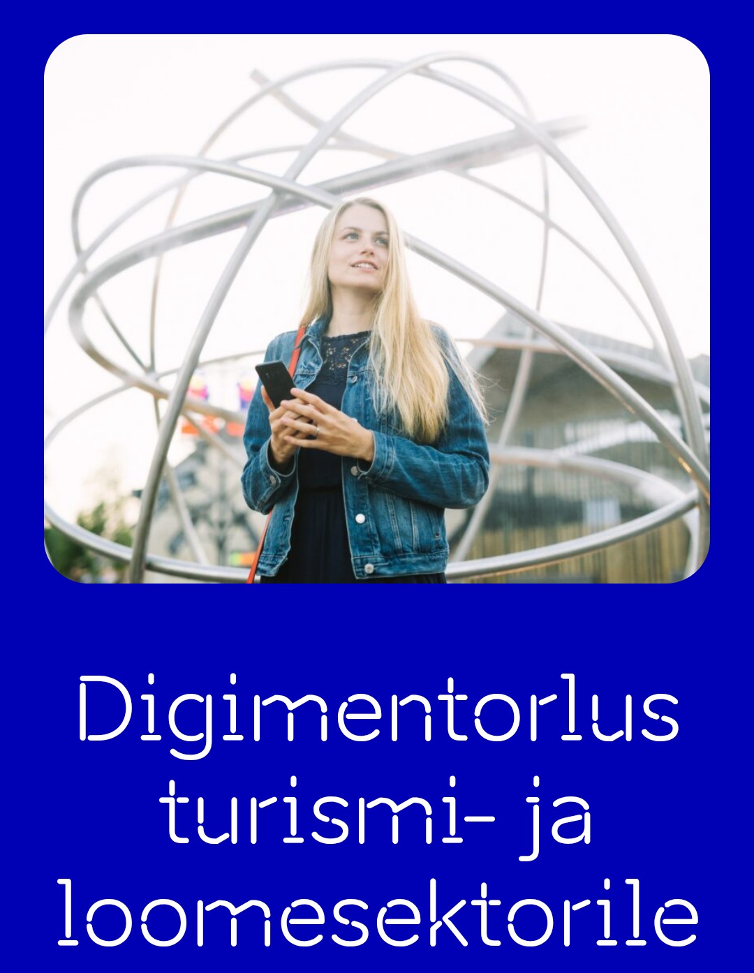 EIS digimentorluse programm on suunatud turismi- ja loomesektori ettevõtetele, kes soovivad paremini mõista oma digitaliseerimise taset ning teha teadlikke otsu